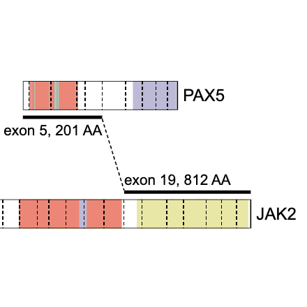 Visualize gene fusions